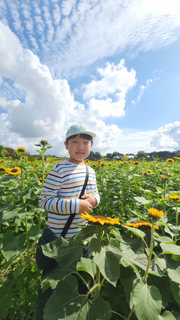 abb9da38c5b7e65aef0b8be1da33b772_1761533