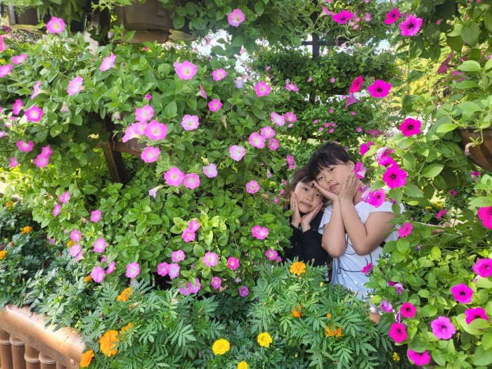 abb9da38c5b7e65aef0b8be1da33b772_1761533