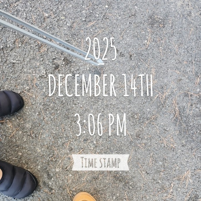 45ea394bc3057f6213155a95acdf86c6_1765782