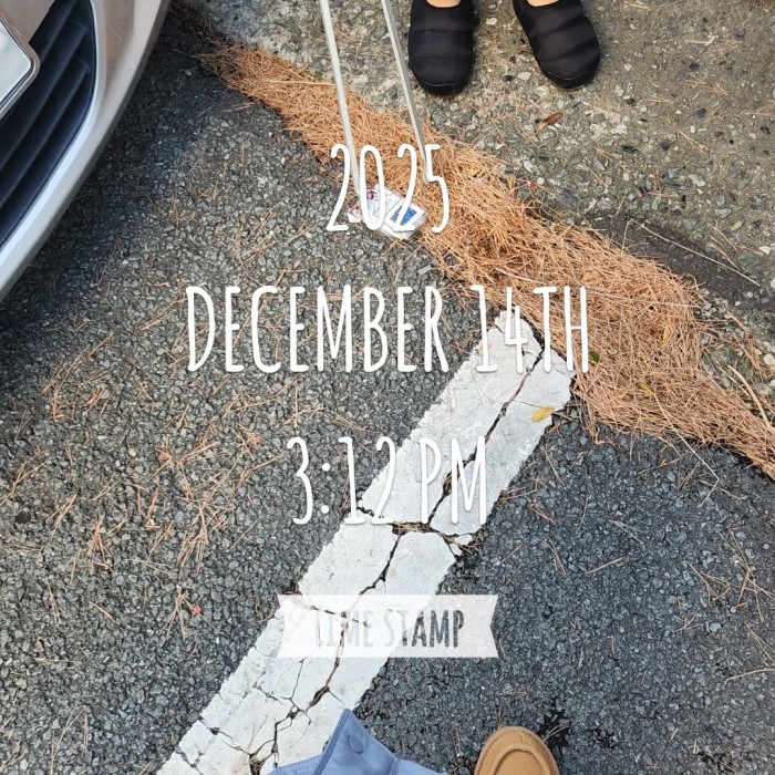 45ea394bc3057f6213155a95acdf86c6_1765782