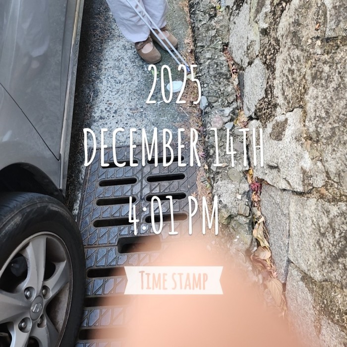 45ea394bc3057f6213155a95acdf86c6_1765782