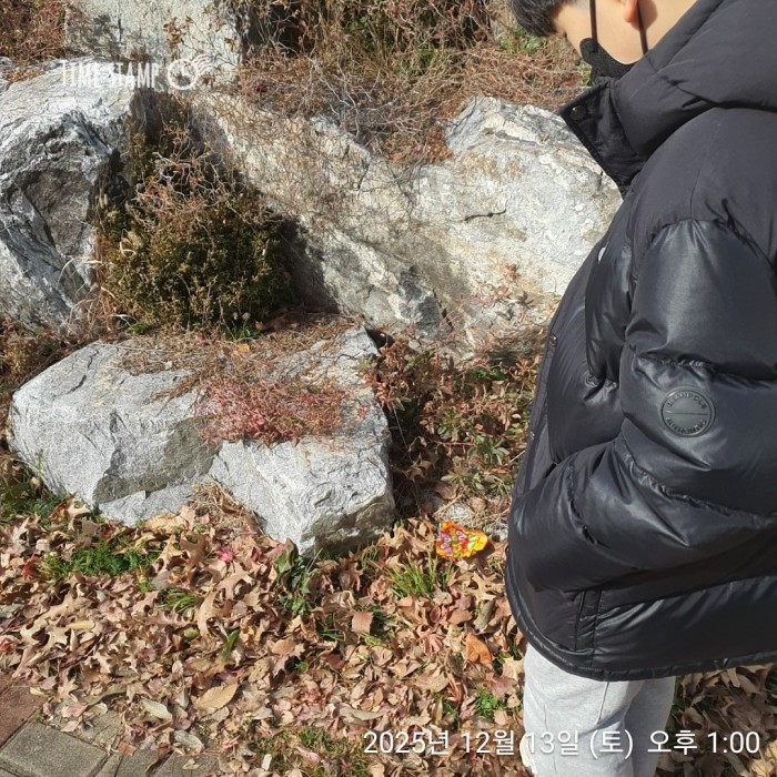 45ea394bc3057f6213155a95acdf86c6_1765782