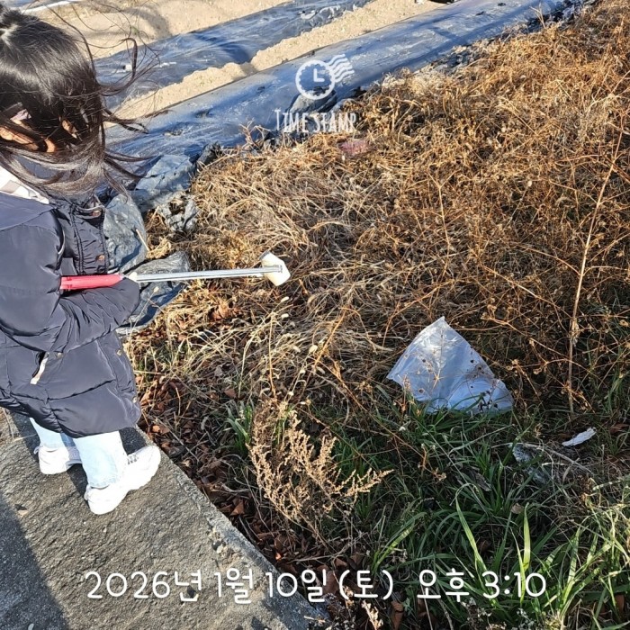 5ce74a75a9a83f2010d29e638235cd14_1768196