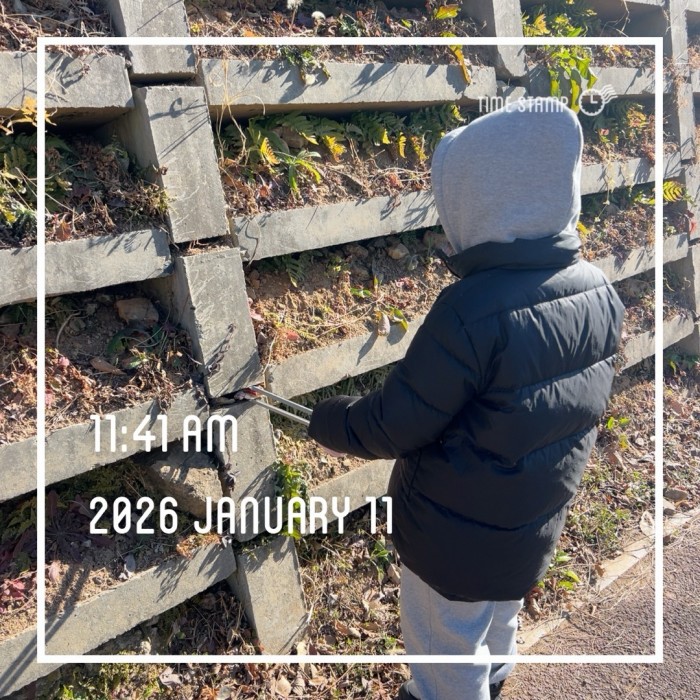 5ce74a75a9a83f2010d29e638235cd14_1768196