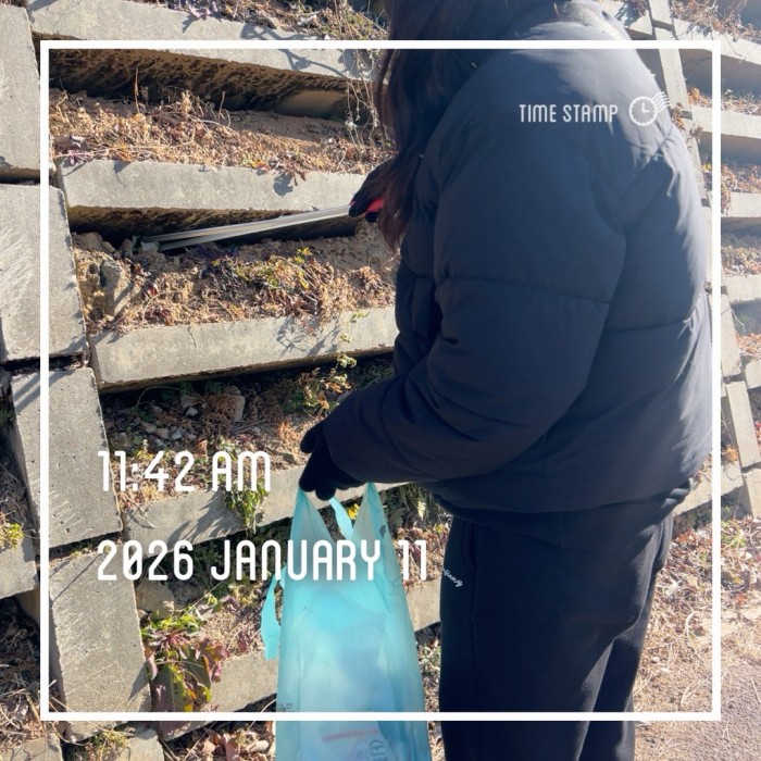 5ce74a75a9a83f2010d29e638235cd14_1768196