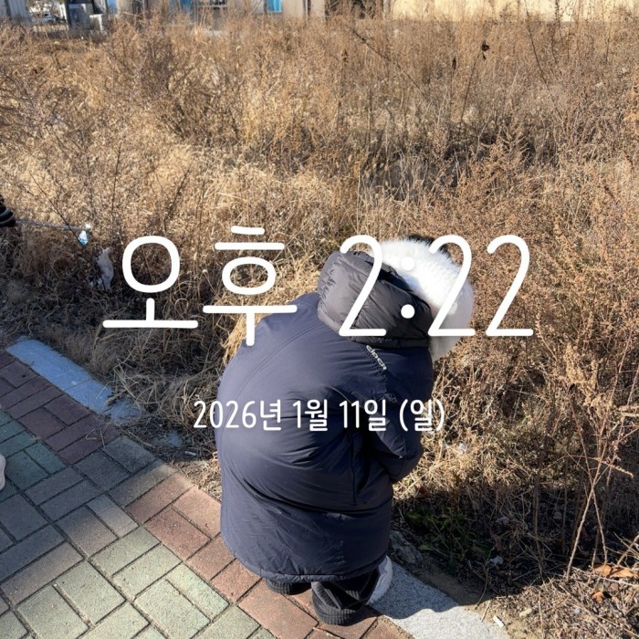 5ce74a75a9a83f2010d29e638235cd14_1768196