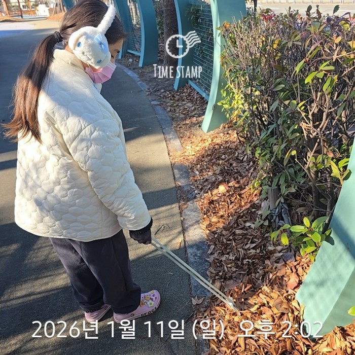 5ce74a75a9a83f2010d29e638235cd14_1768196