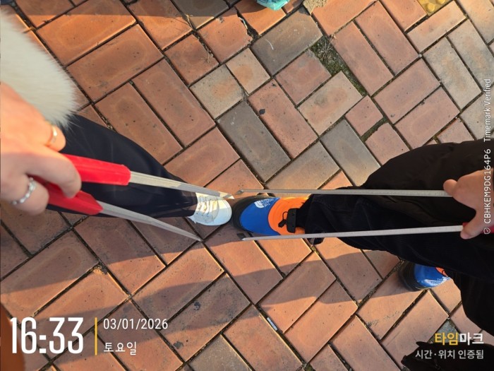 d02697fe2033742bc9f47c7891b34116_1767575