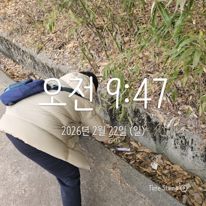 8dad326b4b736694a54712031f58cac3_1771829