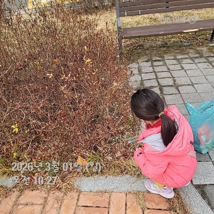 b123aabbfcedfa4c32794181d01400e9_1772502