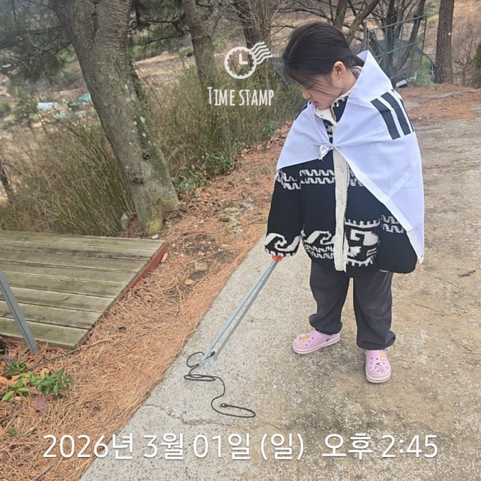 b123aabbfcedfa4c32794181d01400e9_1772502