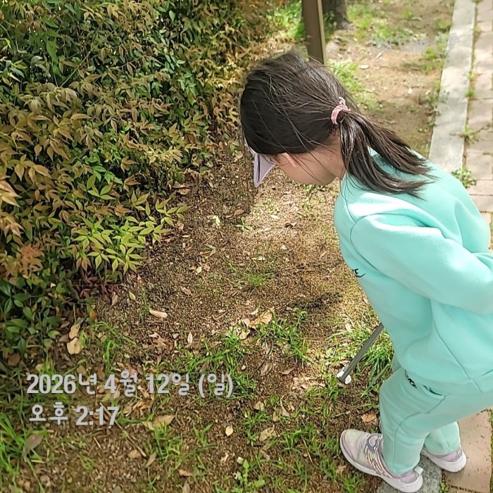 8cee0f4569a63340ee3da2b2769e0f41_1776049