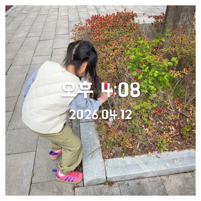 8cee0f4569a63340ee3da2b2769e0f41_1776049