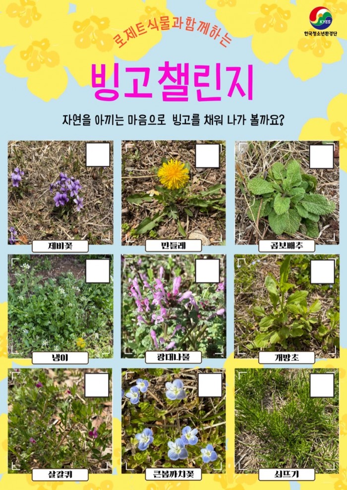 b0afcc1f61a7113c0f23eb7761c8b7b4_1775452